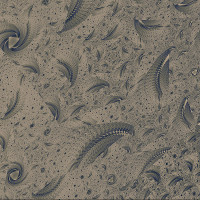 Fossils