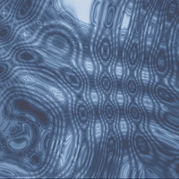 Wavelets